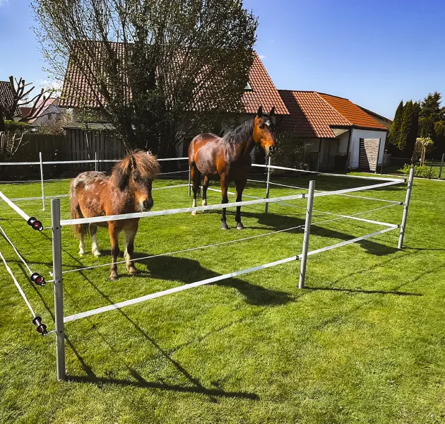 Ein Pony und ein Pferd auf einer grasbewachsenen Koppel mit einem Elektrozaun, einem Haus und Bäumen in der Nähe.